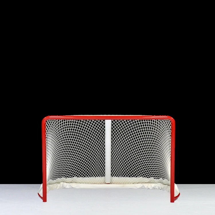 Hockey net on the ice